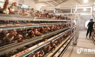 昌乐最大超市叫什么