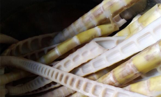 超市的水泡竹笋如何做法