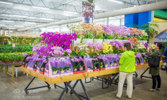 花海基地超市在哪里