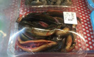 超市里如何买好的泥鳅呢
