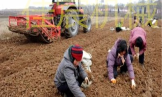 咸阳贝母超市在哪里啊