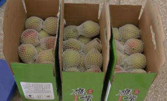 山姆超市韶关有吗