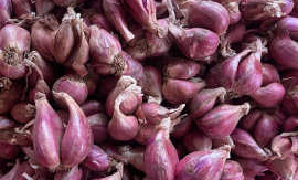 玉州区有什么超市