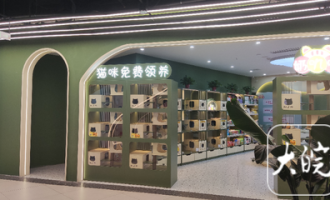 合肥超市猫粮店在哪里