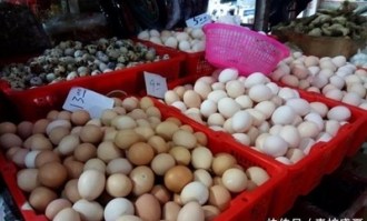为什么超市都不卖鹌鹑蛋