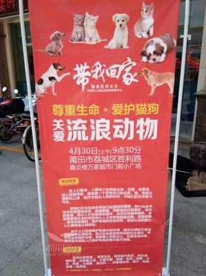 如何带宠物去超市买猫狗